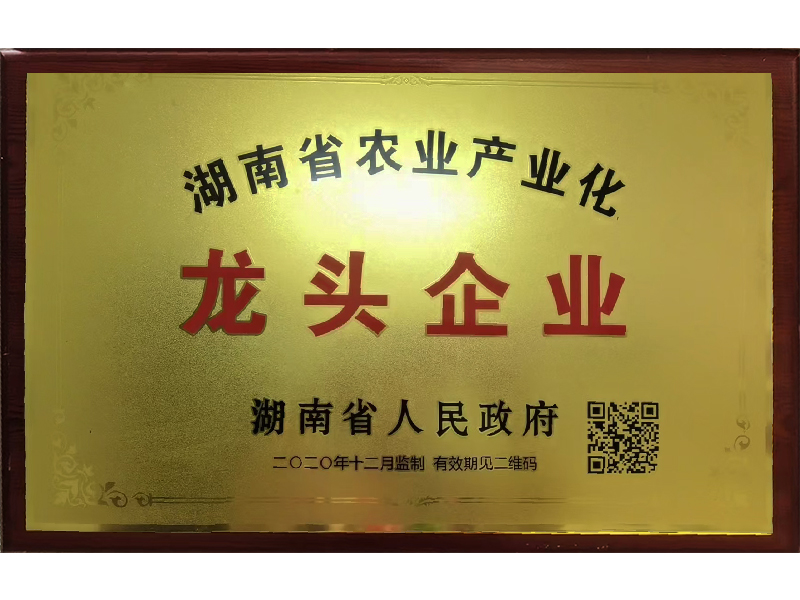 岳陽市漁之源食品有限公司,岳港漁都,洞庭魚港,散稱系列,田螺系列,臭豆腐加工，香豆腐加工，烤脖加工，魚仔,鴨排加工、雞丁加工代加工